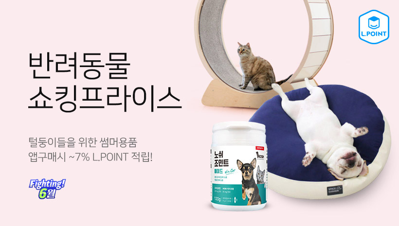 반려동물 쇼킹프라이스