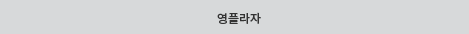 영플라자