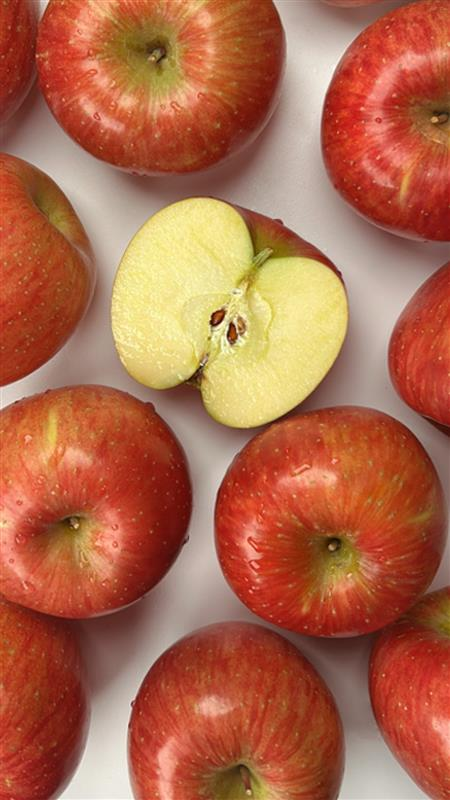 청송 꿀사과 부사 3kg 가정용 12-15과