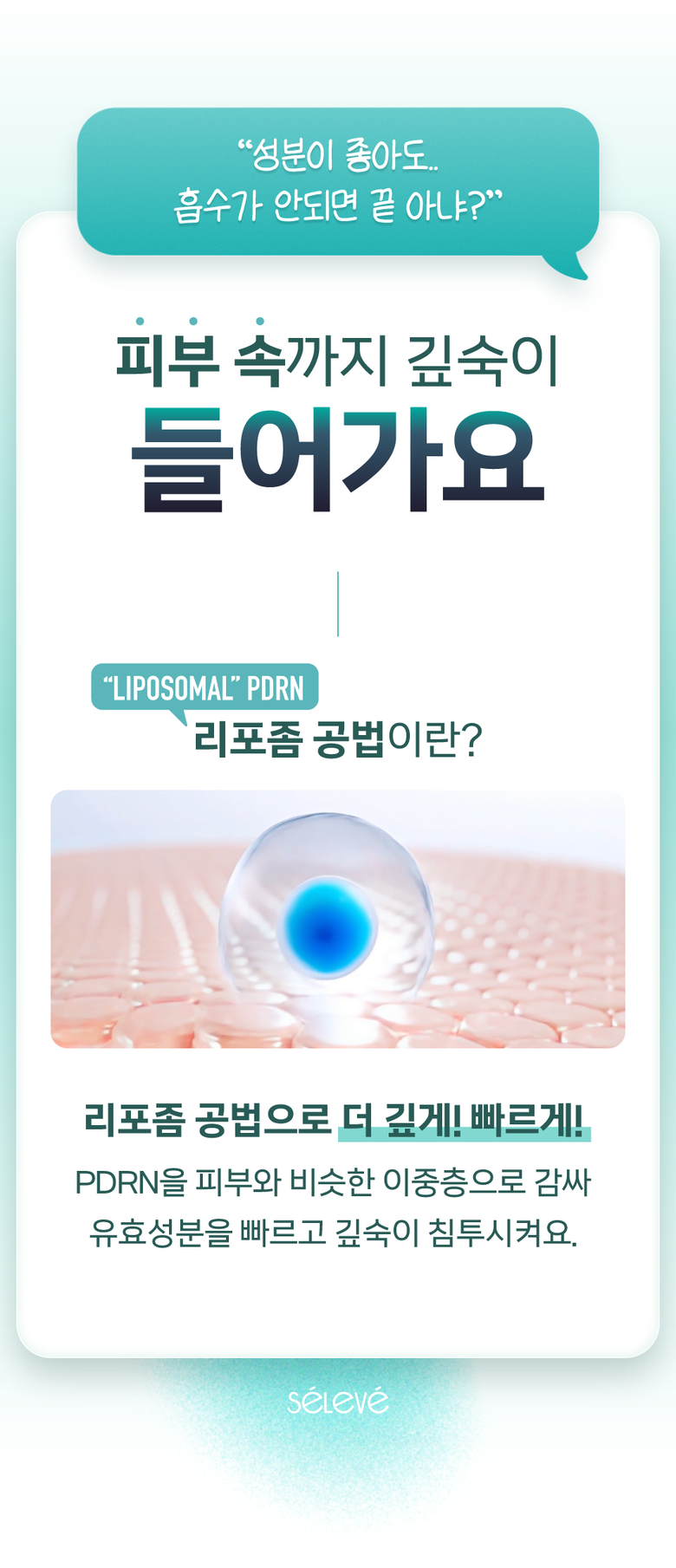 선크림_2.png