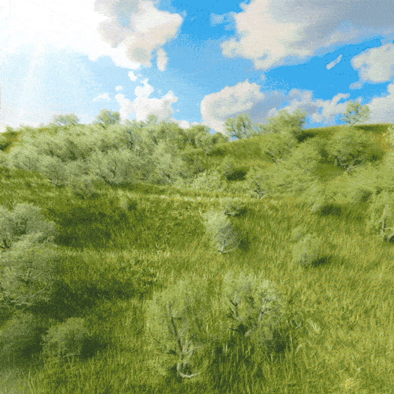 OLIVE3_780_14