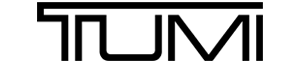 투미