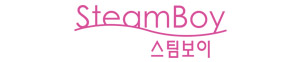 스팀보이