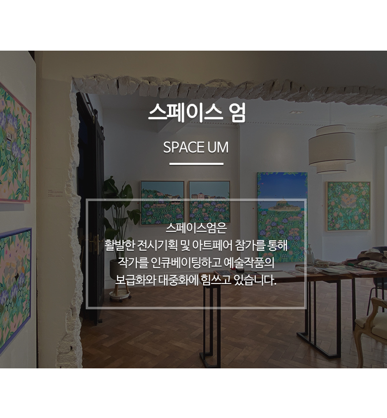 전번 없눈고